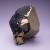 Pyrite and Sphalerite Huanzala, Peru M05296